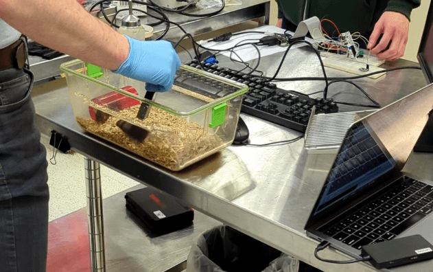 esm prototype with mouse